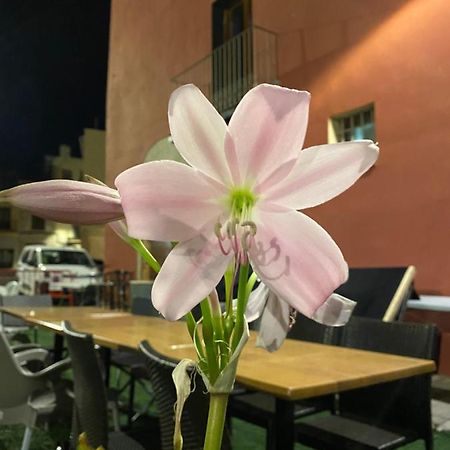Restaurant & Rooms Cabrit Sant Mateu Kültér fotó