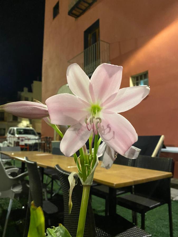 Restaurant & Rooms Cabrit Sant Mateu Kültér fotó